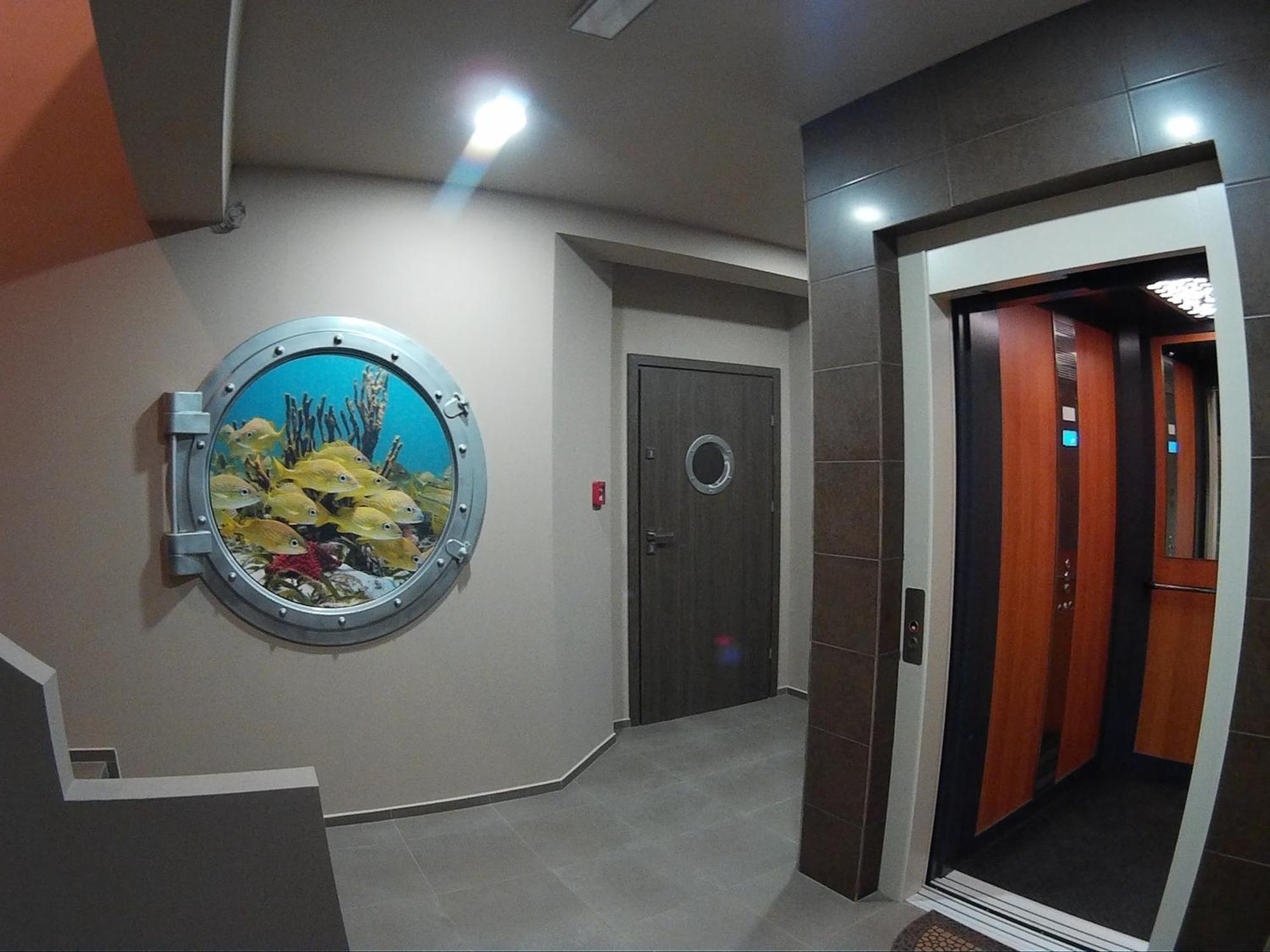 לינה וארוחת בוקר וובה Dolphin House מראה חיצוני תמונה