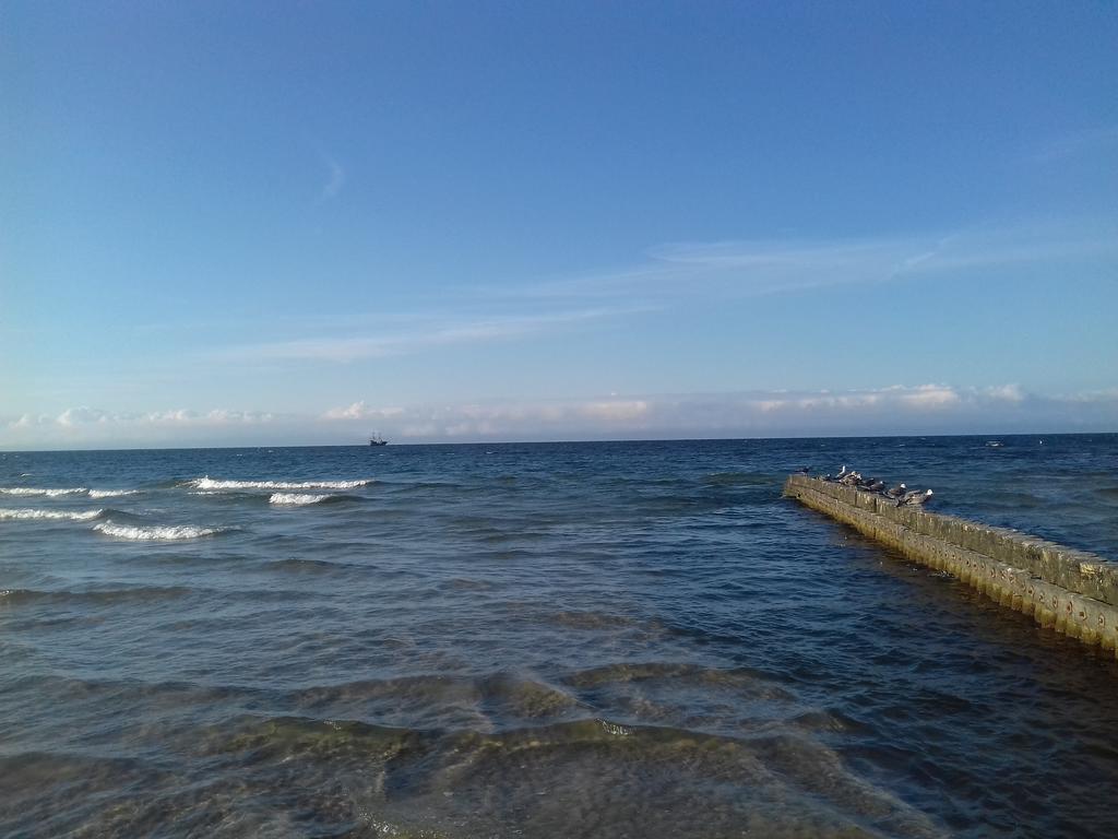 לינה וארוחת בוקר וובה Dolphin House מראה חיצוני תמונה